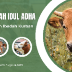 Khutbah Idul Adha: Fadhilah Ibadah Kurban